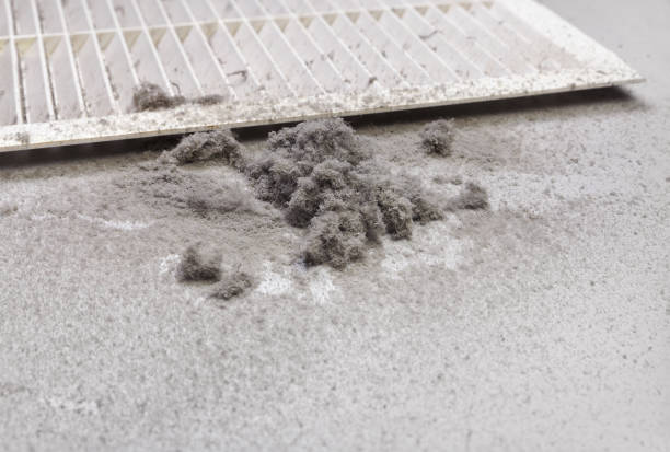 Best HVAC Air Duct Cleaning  in La Habra, CA
