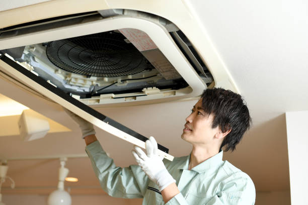 Best Air Duct Sanitizing Services  in La Habra, CA